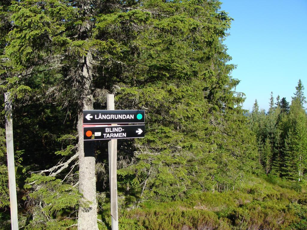 Hébergement de vacances Tomtelandstugan